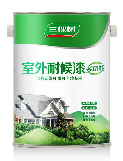 室外多功能耐候墙面漆 5L